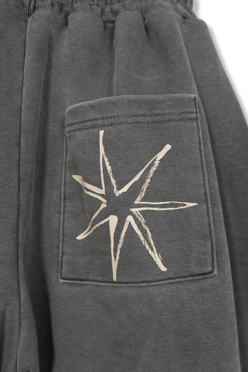 Mayte × Cycle ECHO STAR WASHED HALF PANTS -CHARCOAL-