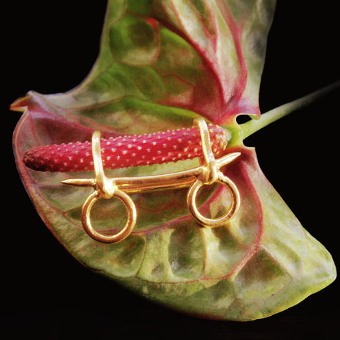 æsthesia × Kristina × Cycle 【OSHTHA】 -GOLD-