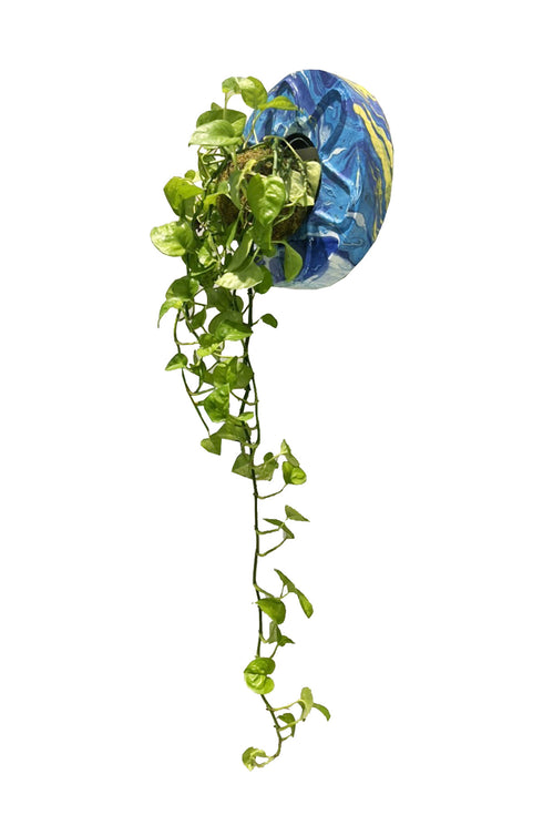 MARBLE HANGING GREEN -BLUE×YELLOW- *Last1