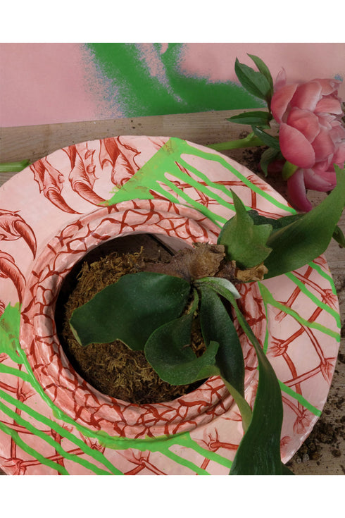 PINK SPIKY HANGING GREEN *Last1